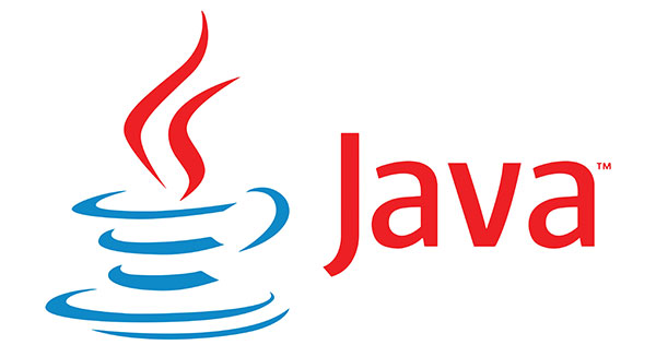 Java web and software development